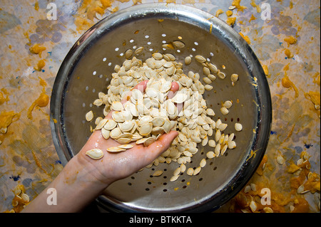 Hand Holding Fresh Pumpkin Seeds Stock Photo