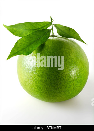 Fresh whole and cut Pomelo citrus Fruit against a white background Stock Photo