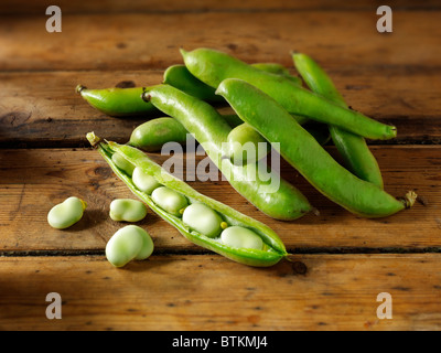 Fresh Broad beans in their pods Stock Photo