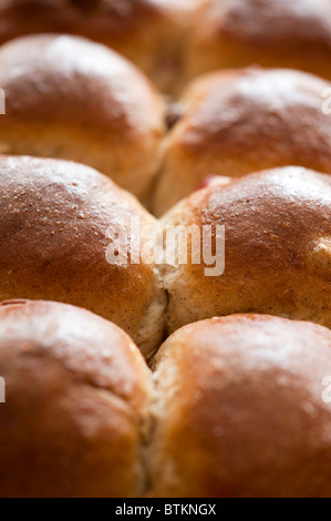 Hot cross buns fresh out of oven Stock Photo