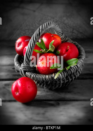 Fresh picked whole uncooked red Victoria plums in a basket Stock Photo