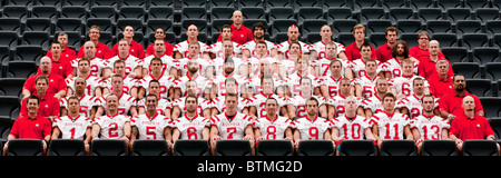 FRANKFURT, GERMANY - JULY 23 Offical team photo of Team Austria at the european football championship 2010 taken on July 23. Stock Photo