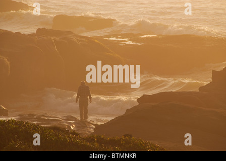 Man standing on rocks watching waves, sunset, Yachats, Oregon, USA Stock Photo