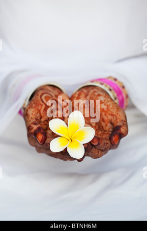 Indian girl wearing sari with henna hands holding a Frangipani flower Stock Photo