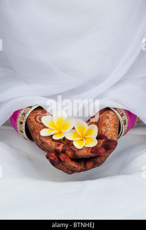 Indian girl wearing sari with henna hands holding a Frangipani flower. India Stock Photo