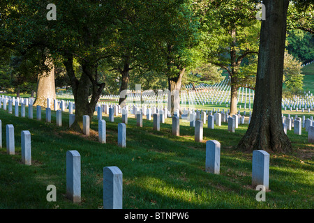 Rows of Headstones in Arlington National Cemetery with the Washington ...