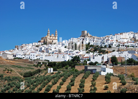 View of the town, castle and church, Olvera, Cadiz Province, Andalucia, Spain, Western Europe. Stock Photo