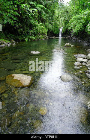 Wainibau.  Taveuni, Fiji Stock Photo