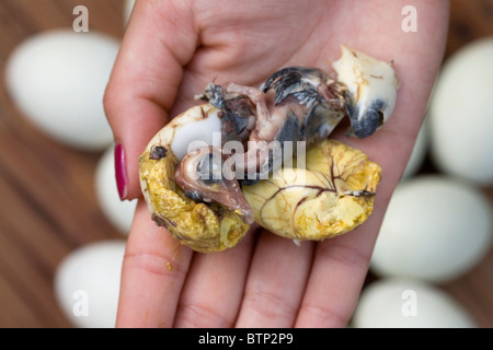 The exposed embryo from a balut, or boiled fertilized duck egg, held by a Filipina in Oriental Mindoro, Philippines. Stock Photo