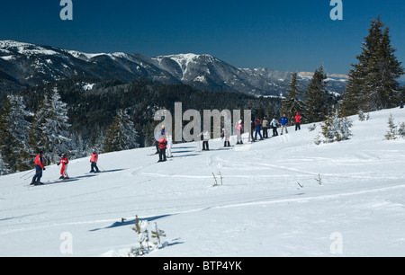 winter scenery, Pamporovo, a famous ski resort, skiing in the forest, Rodopi mountains, Balkans, Bulgaria Stock Photo