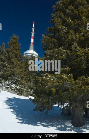 Pamporovo, a famous ski resort, relax and entertainment, Rodopi mountains, TV Tower in the forest, Balkans, Bulgaria Stock Photo