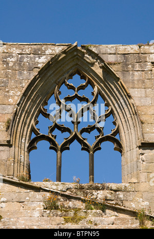 England, North Yorkshire, Bolton Abbey Stock Photo