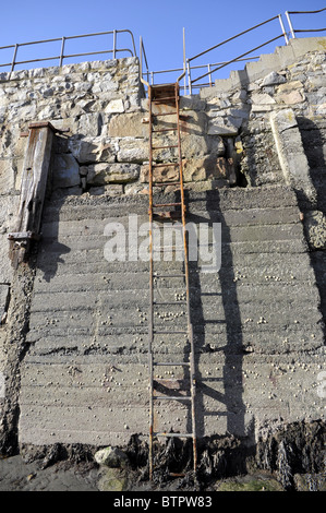 Rusty steel wall ladder Stock Photo