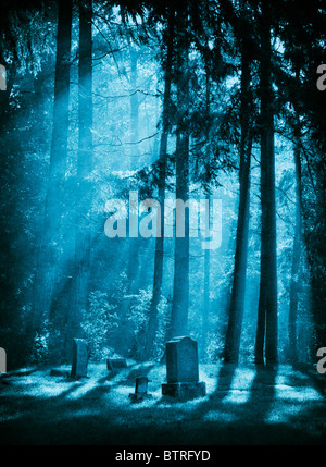 Light beams shine through the trees and light up the headstones at the Lummi Island, Washington cemetery on a foggy morning. Stock Photo