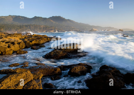 Waves crash along the shore at Point Lobos State Park, California. Stock Photo