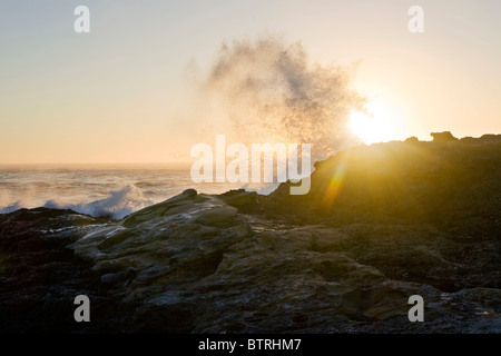A large wave crashes over rocks along the California Coast at sunset. Stock Photo