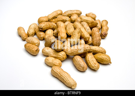 Peanuts in their shell on a white background Stock Photo