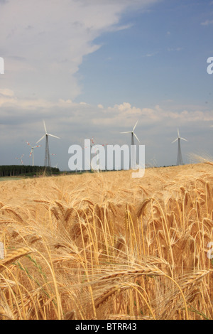 rural landscape with field and wind turbines behind metal fence Stock ...