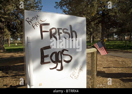 An old refrigerator holds fresh, free range, organic chicken eggs, with an American flag in the background Stock Photo