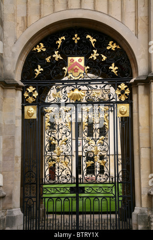 Gilded Gate of All Souls College, Oxford University Stock Photo