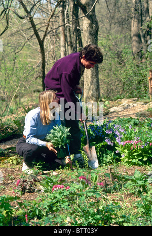 Couple planting garden in early Spring with blooming bluebells and bleeding hearts Stock Photo