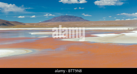 Laguna Colorada, Red Lagoon, Altiplano Shallow Salt Lake, Potosi, Bolivia