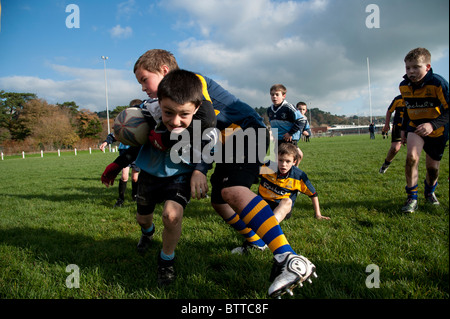 Aberystwyth Rugby Club under 10 years junior boy players playing the game on a sunday morning, Wales UK Stock Photo