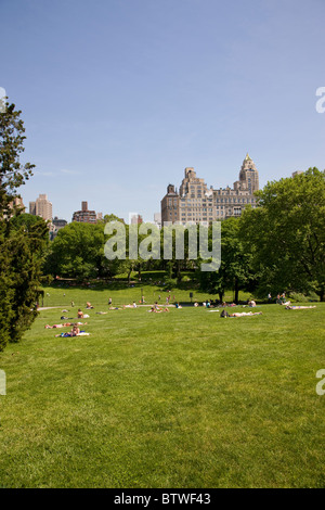 Shakespeare Garden at Mid Park Quadrant in Central Park Stock Photo