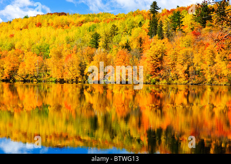 Autumn foliage along the shore of the Saint Louis River in Jay Cooke State Park. Stock Photo