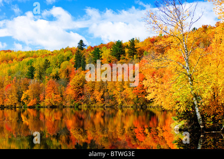 Autumn foliage along the shore of the Saint Louis River in Jay Cooke State Park. Stock Photo