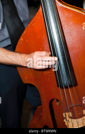 Musician playing the bass Stock Photo