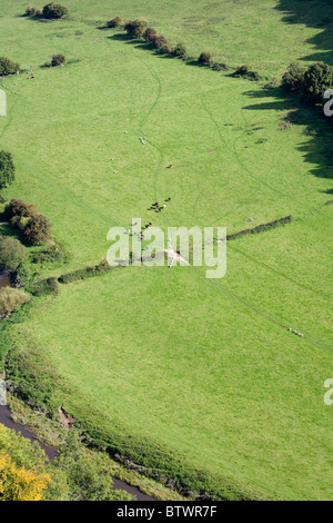 Sheep and cattle grazing in a field by the banks of The River Wye at Symonds Yat  Autumn Gloucestershire England Stock Photo