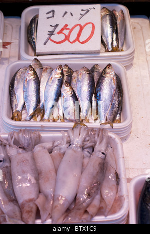 Fresh fish and squid for sale at the Ameyayokocho Market in Tokyo. Stock Photo