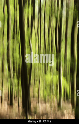 Abstract picture of a forest in springtime, motion blur due to long exposure. Stock Photo