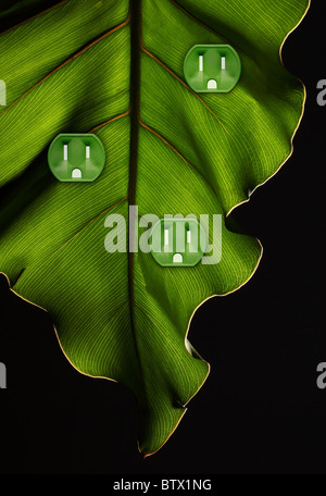 A green plant leaf with three electrical power outlets Stock Photo