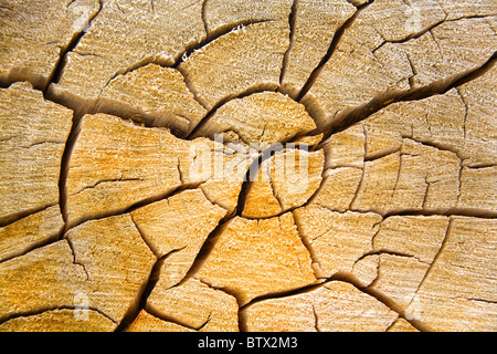 Wood Stock Photo