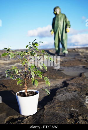 Man in protective suit and mask near the green plant Stock Photo