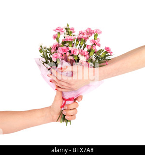 Female hands taking a bouquet of carnation flowers from male hand isolated on white Stock Photo