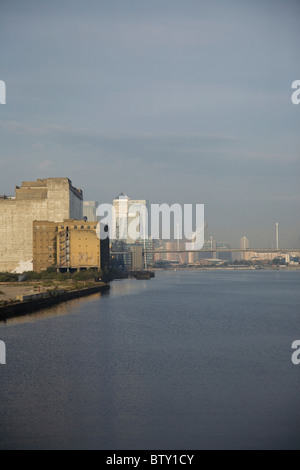 Royal Victoria Dock in London Docklands with canary wharf in the background, Stock Photo