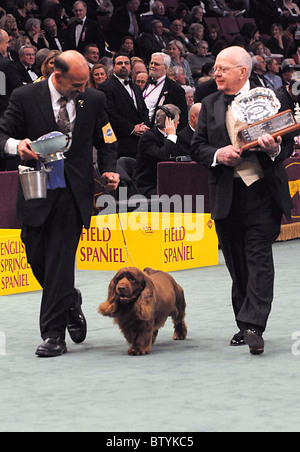 113th Annual Westminster Kennel Club Dog Show Stock Photo