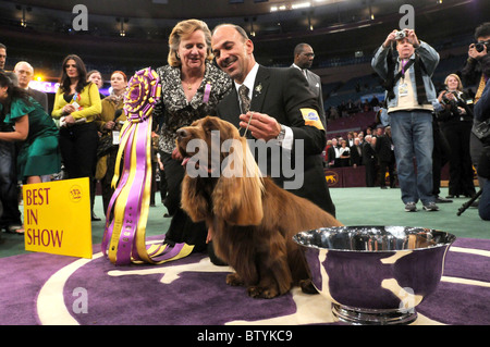 113th Annual Westminster Kennel Club Dog Show Stock Photo