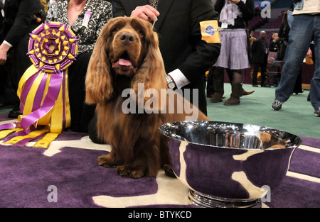 113th Annual Westminster Kennel Club Dog Show Stock Photo