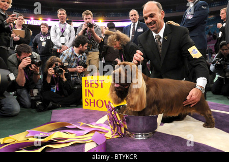 113th Annual Westminster Kennel Club Dog Show Stock Photo