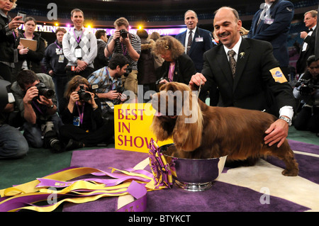 113th Annual Westminster Kennel Club Dog Show Stock Photo