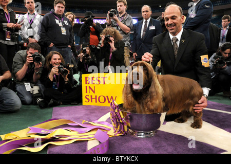 113th Annual Westminster Kennel Club Dog Show Stock Photo