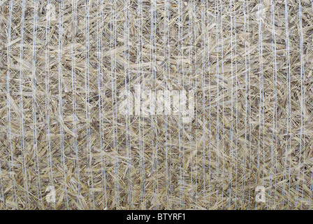 Close up detail of hay bale Stock Photo