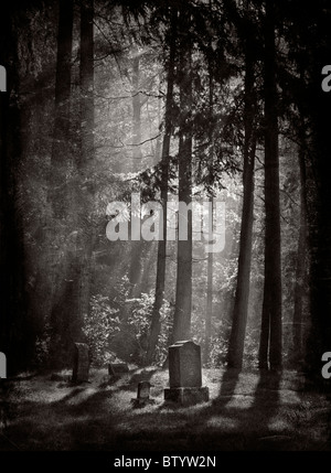 Light beams shine through the trees and light up the headstones at the Lummi Island, Washington cemetery on a foggy morning. Stock Photo