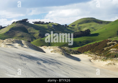 Sand Dunes, Sandfly Bay, Otago Peninsula, Dunedin, Otago, South Island, New Zealand Stock Photo