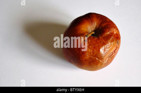 One bad rotten apple. Stock Photo