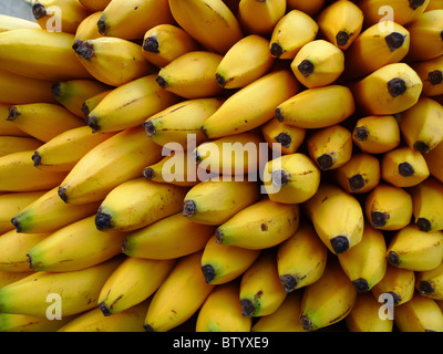 Bunch of ripe bananas · Graphic Yard